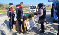 Köşk'te otobüs bagajından 400 litre kaçak yağ çıktı