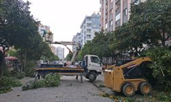 Efeler'in ekipleri bakım işlerini sürdürüyor