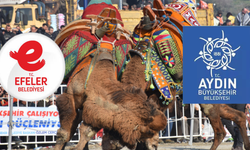 Efeler Meclisi'nde deve güreşi polemiği