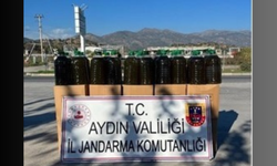 Köşk’te 500 kilogram sahte zeytinyağı yakalandı