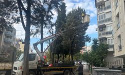 Efeler Belediyesi olası risklerin önüne geçiyor