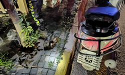 Kuşadası'nda ağaca çarpan alkollü motosikletli yaralandı