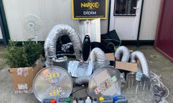 Didim'de kenevir yetiştirme kabini ele geçirildi