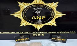 Germencik'te 100 kilo yasaklı madde hammaddesi ele geçirildi