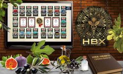 Aydın’ın kadim meyvelerine bilimsel dokunuş: İncir ve Zeytin Akademisi kuruluyor