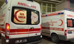 Aydın'da aile kavgası ölümle bitti: Sokak ortasında can verdi