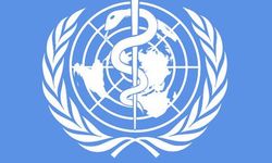 SON DAKİKA | Dünya Sağlık Örgütü, Hindistan'da görülen Nipah virüsü için "acil araştırma" çağrısı yaptı.