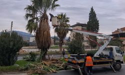 Efeler Belediyesinden Umurlu karayolunda çalışma