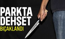 Nazilli’de parkta bıçaklanan genç yaralı halde kilometrelerce yürüdü