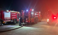 Koçarlı’da Çam Fıstığı işletmesinde yangın