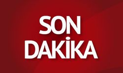 Aydın'da korkunç olay!
