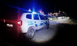 Bataklığa saplanan hayvan kurtarıldı