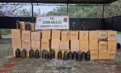 Didim'de tağşiş zeytinyağı operasyonu