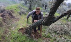 Film sahnesi değil gerçek hayat