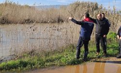 Köşk'te su altında kalan ve zarar gören ekili tarım alanları tespit edildi