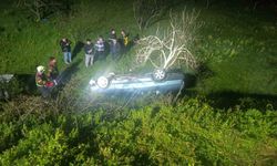 Nazilli'de domuza çarpan otomobil uçuruma yuvarlandı