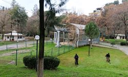 Pınarbaşı bahara hazırlanıyor