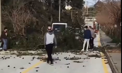 Kuşadası’nda fırtına alarmı: Devrilen ağaç yolu kapattı