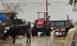 Söke’de mahallenin yarısı suya gömüldü