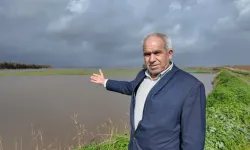 Söke Ovasında 60 bin dekar buğday sular altında