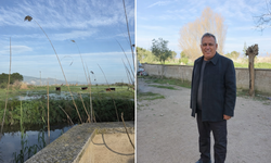 Koçarlı’da bir mahalle sular altında kalma tehlikesiyle karşı karşıya