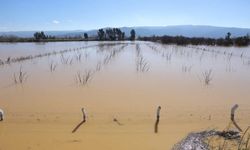 İncirliova’da felaketin bilançosu ağır