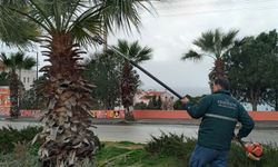 Kuşadası Belediyesi Daha Yeşil, Daha Temiz Bir Kent İçin Çalışıyor.