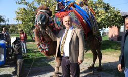 İncirliova’da şap hastalığı karantinası sona erdi