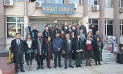 Erkek Şiddeti Kadınların Yaşam Hakkını Tehdit Ediyor