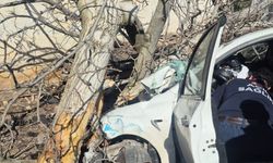Otomobil ağaçlara ok gibi saplandı: 2 ölü, 1 ağır yaralı