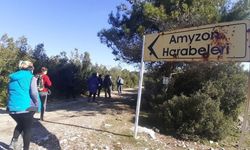 Aydın'ın "öksüz" antik kenti Amyzon, gün yüzüne çıkmayı bekliyor