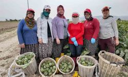 Başkan Yetişkin: 'Efeler'i kadınların geleceğe umutla baktığı bir kent yapmak için çalışıyoruz'