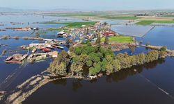 Kalcık Mahallesi, Venedik'e döndü