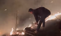 Bozdoğan’da orman yangını: Hızlı müdahale faciayı önledi