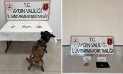 Aydın'da jandarmadan torbacı operasyonu
