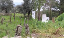 Büyükşehir’e mezarlık tepkisi: Ölüye bile saygı kalmadı!