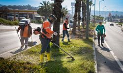 Kuşadası bayrama hazırlanıyor: Refüjlerde bakım ve peyzaj çalışmaları hızlandı