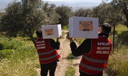 Başkan Yetişkin'in 'Kardeş Eli' Ramazan'ın bereketini hanelere taşıyor