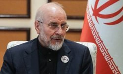 "Şu anki benzin fiyatlarının tadını çıkarın"