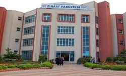 ADÜ'de taciz iddiası! Kapatılan dosya geri döndü