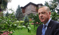 Cumhurbaşkanı Erdoğan’ın Rize programı maliyeti belli oldu