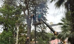 Efeler'de parklar daha güvenli hale geliyor