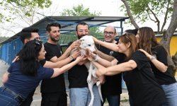 Kuşadası'nda can dostlara 3 ton mama bağışı yapıldı