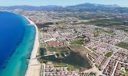 Aydın kıyıları deniz kaplumbağaları için yeni yuvalama merkezi oldu