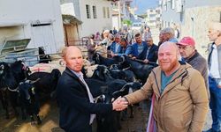 Bozdoğan Yazıkent'te Kurban Pazarı hareketlendi