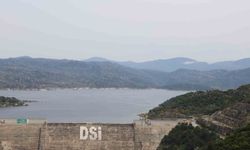 Çine Adnan Menderes Barajı eski günlerine döndü