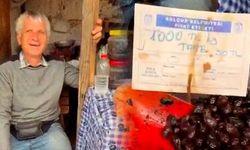 Zeytinin tanesini 50 TL'ye satan esnafa ceza