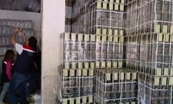 Aydın’da 1 milyonluk sahte ürüne, 1.8 milyonluk ceza