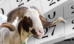 Kurban Bayramı tatili 9 gün oldu