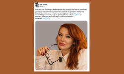 Sınır Tanımayan Gazeteciler: Yelis Ayaz’ın tutuklanması kabul edilemez!